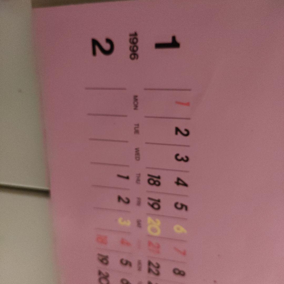 NOEVIR ノエビア カレンダー 1996 表紙無 - メルカリ