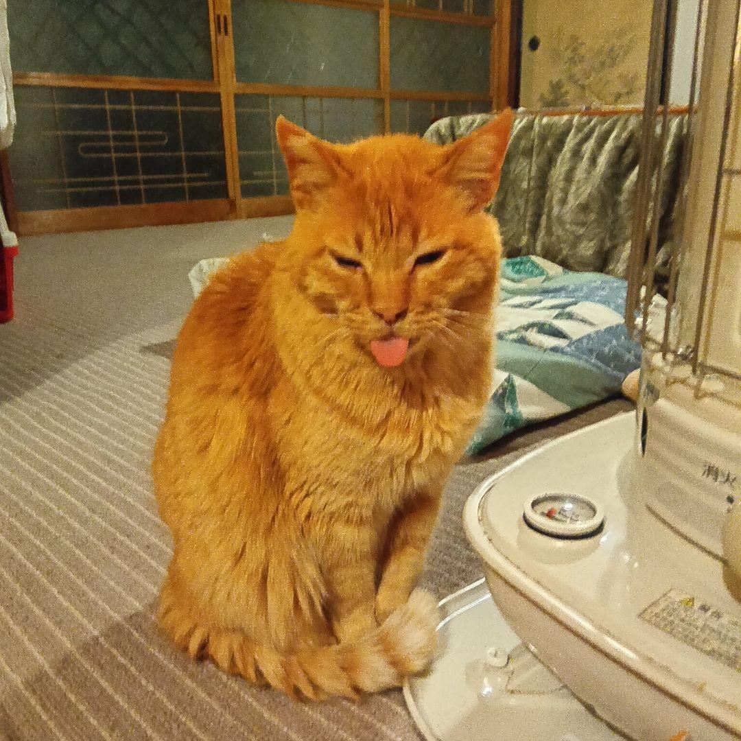 Pioneer CDJ-350 タイターニア ホームDJ向けモデル「CDJ-350」「DJM-350」を新発売 | 報道資料