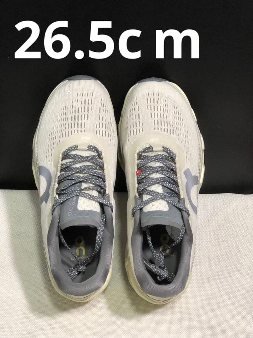 Julian Opie 限定版 Birds プレート 2021年