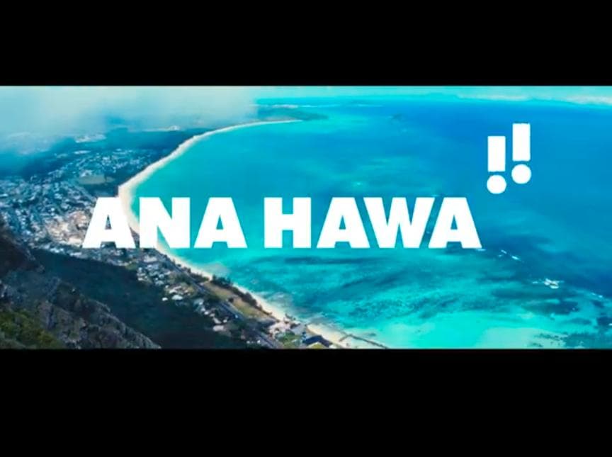 フライングホヌ 模型 1/400 ダイキャスト