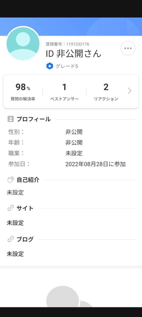 フライングホヌ 模型 1/400 ダイキャスト
