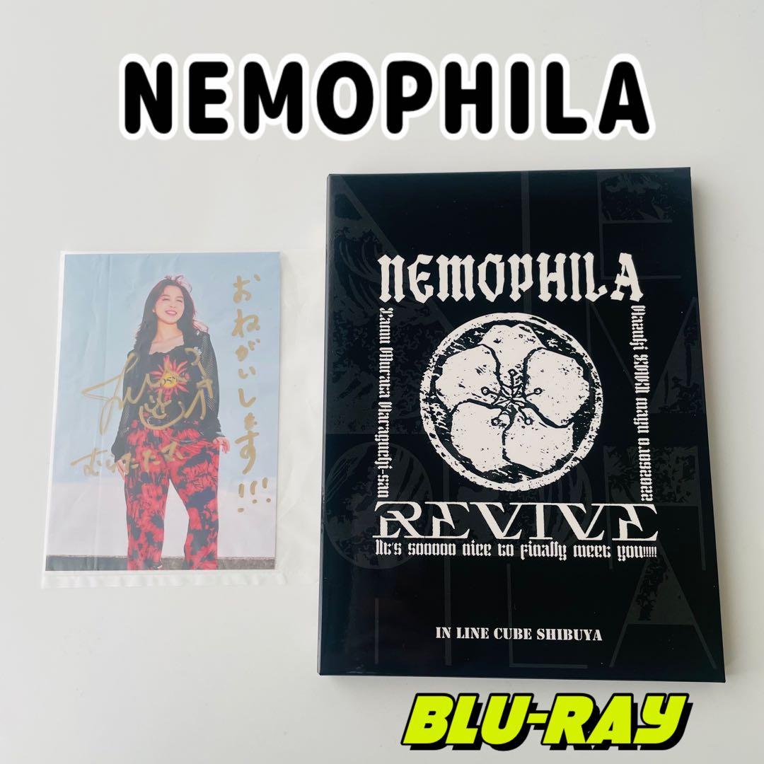 有馬記念記念】日本中央競馬会70年史 2025年8月発行