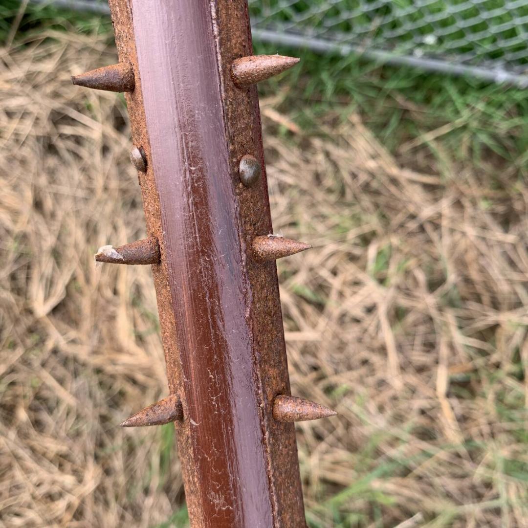 袖がらみ 石突 もじり 捕物 武具 時代物 コスプレ 古道具 防犯 XZ4120