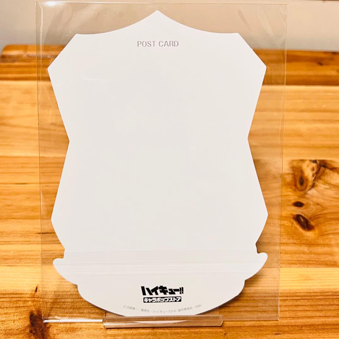 095【新品】ハイキュー 澤村 大地 ぬいぐるみ 主将 非売品 レア ホロ