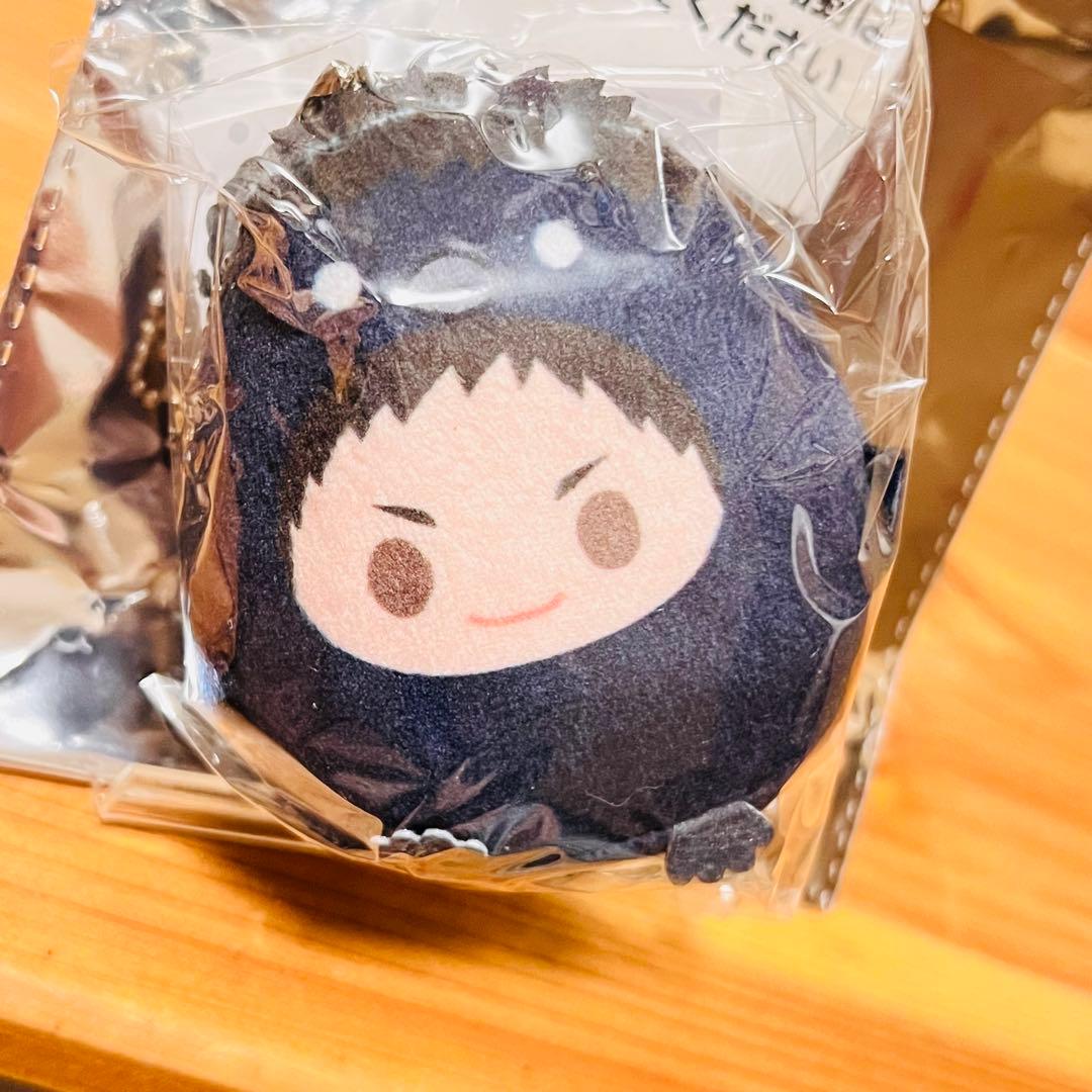 095【新品】ハイキュー 澤村 大地 ぬいぐるみ 主将 非売品 レア ホロ