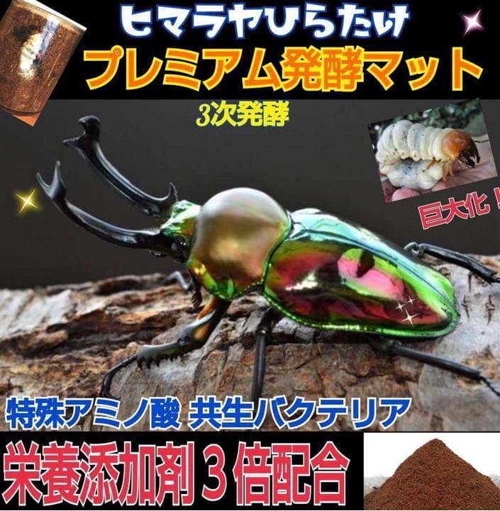 ミヤマクワガタ、ノコギリ幼虫に抜群！800mlボトル入プレミアム発酵