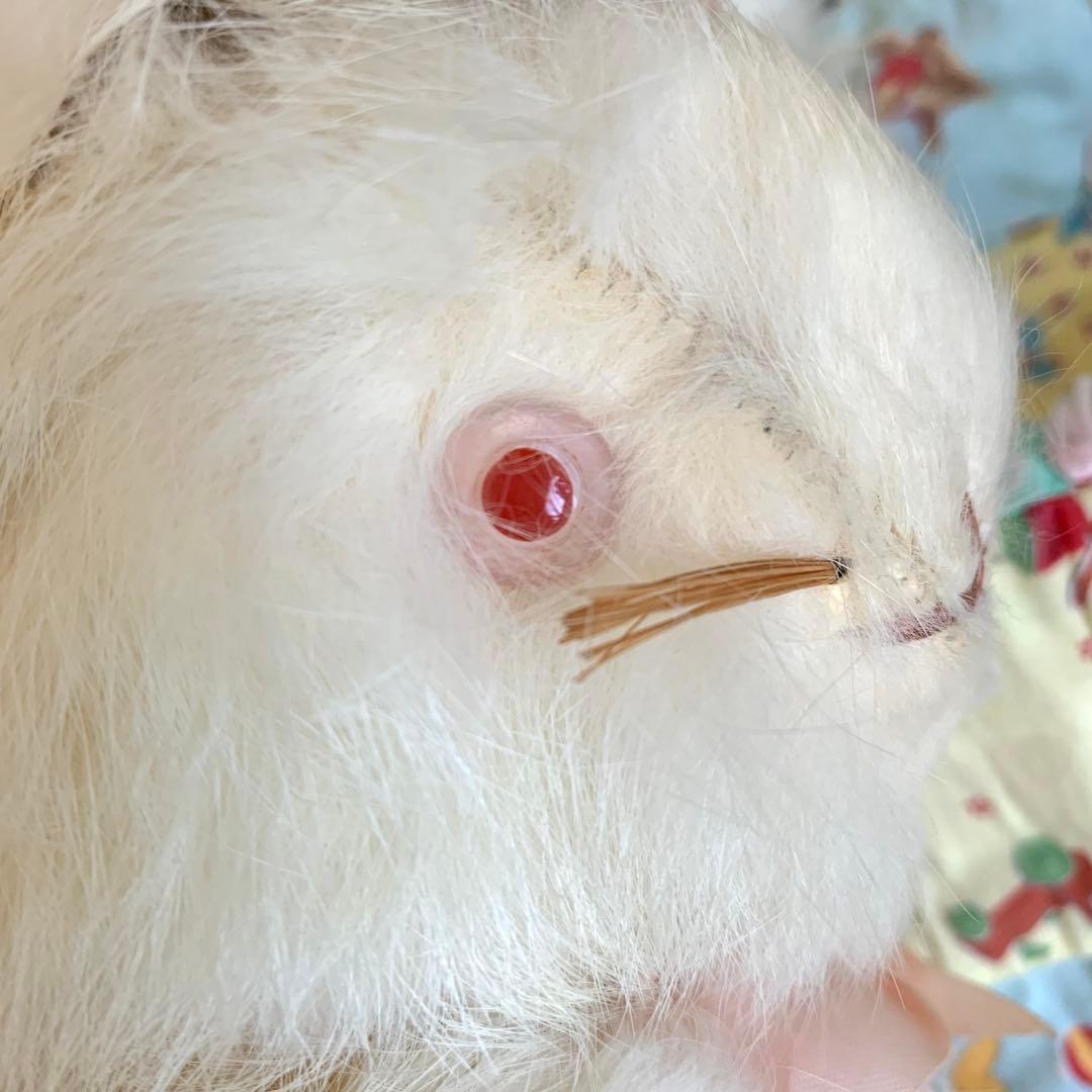 アンティーク うさぎ リアルファー ベアバニー