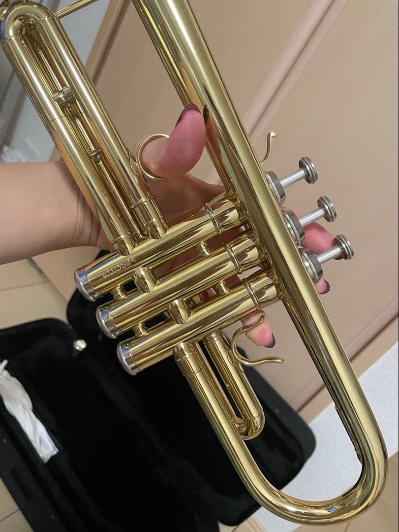 トランペット本体 専用ケース DVD付き