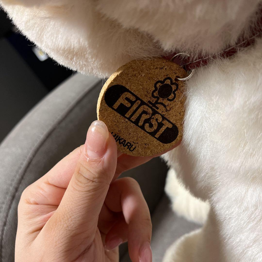 ファースト社　日本犬　光　ひかる　ぬいぐるみ　レトロ　希少