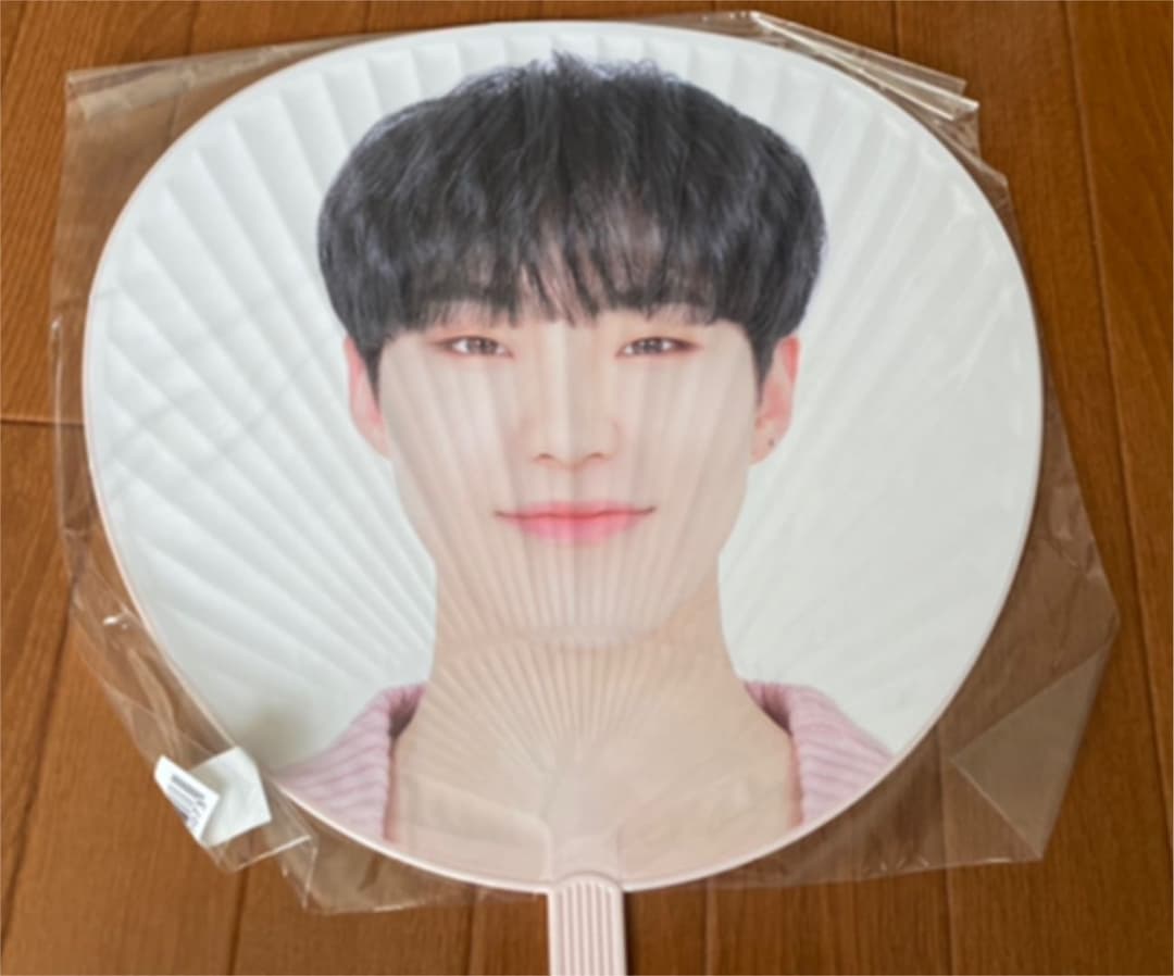 ホシ うちわセット SEVENTEEN seventeen HOSHI うちわ セット