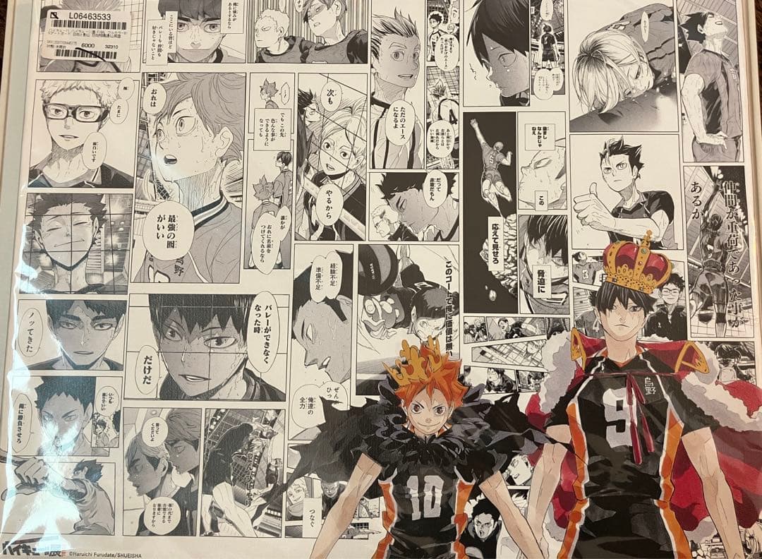 ハイキュー!!展 フルカラーBIGアートボード 日向と影山 日向翔陽&影山飛