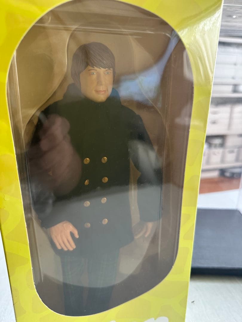 Brian Wilsonブライアンウィルソン 1966公式フィギュア特別ケース付