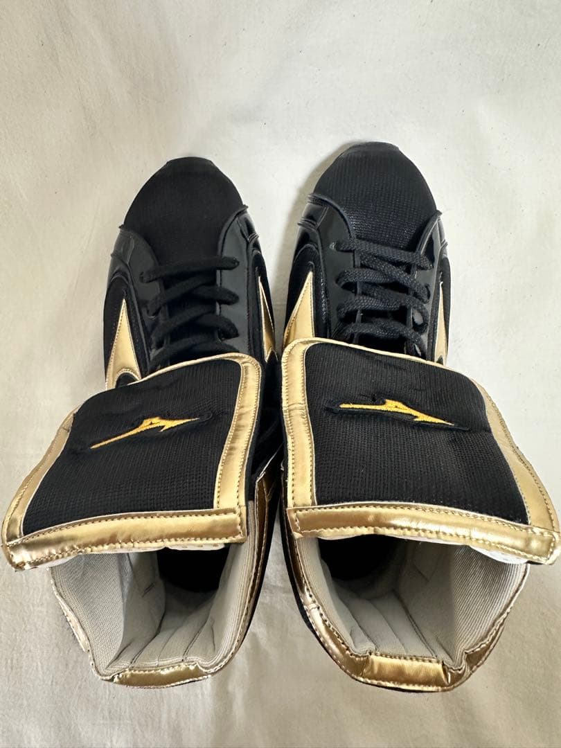 24.5cm！ミズノ スペシャルオーダー 折り返し ボクシングシューズ