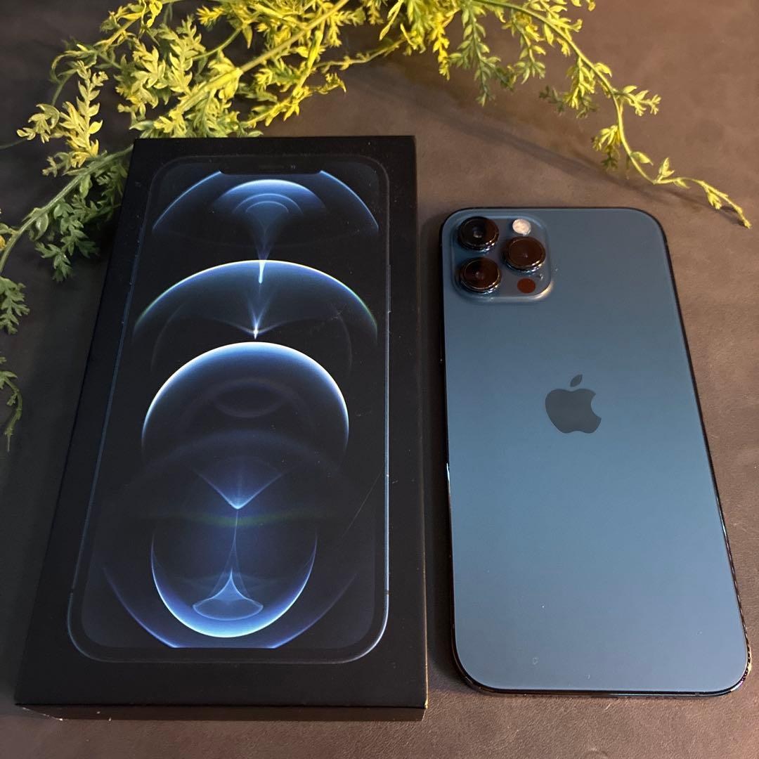 特価○未使用3枚 メリカル鑑定説明付 3種 10銭鳩とオリーブの枝 紫宸殿