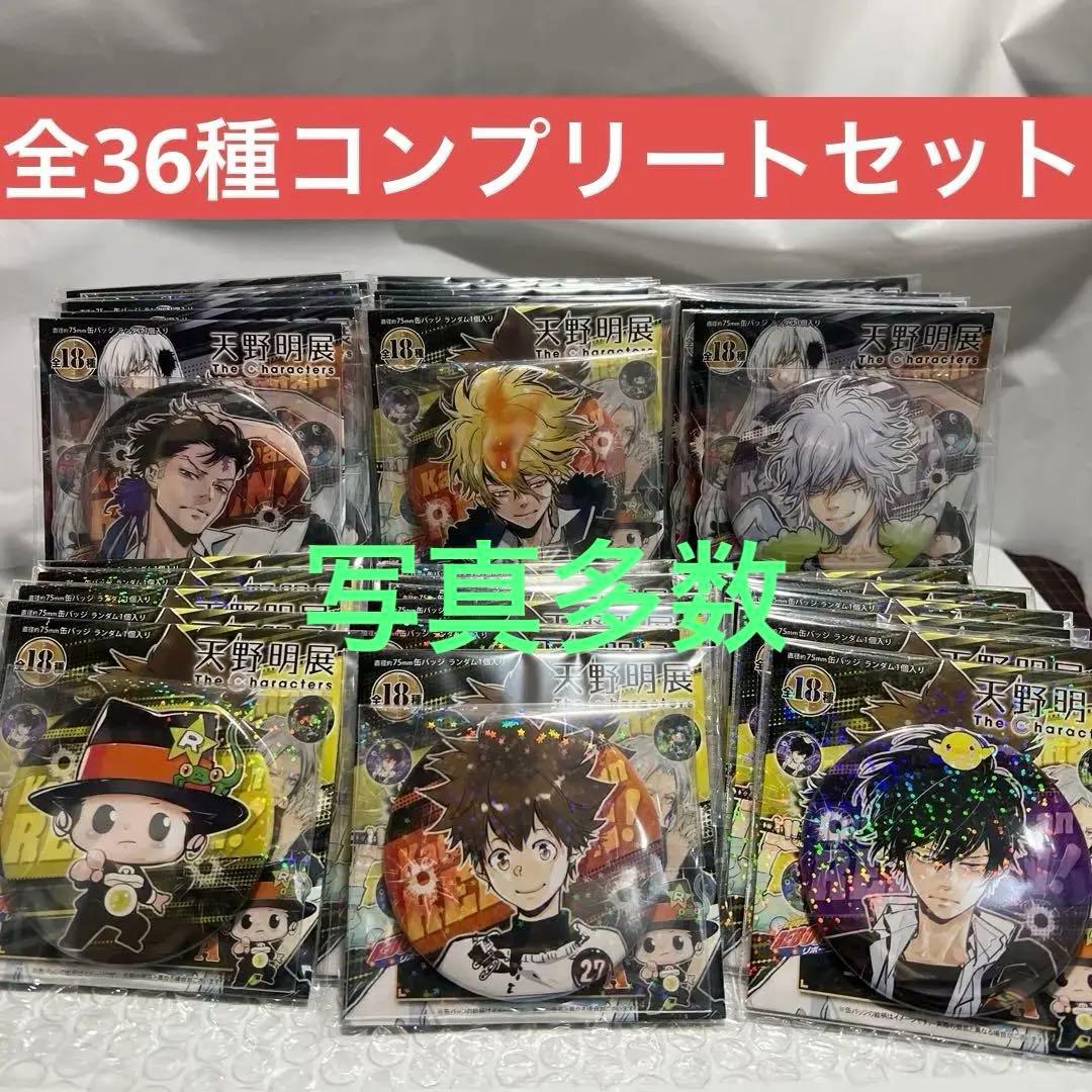 大幅値下げ天野明展 家庭教師ヒットマンREBORN! 缶バッジコンプセット36個