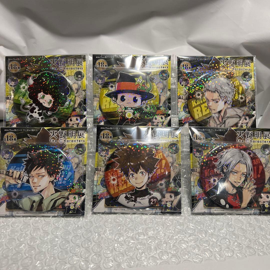 大幅値下げ天野明展 家庭教師ヒットマンREBORN! 缶バッジコンプセット36個