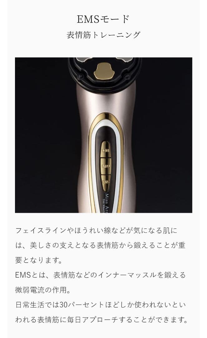 ミスアリーヴォ ザ・レイス 定価154000 公式HPで購入 フォクシー