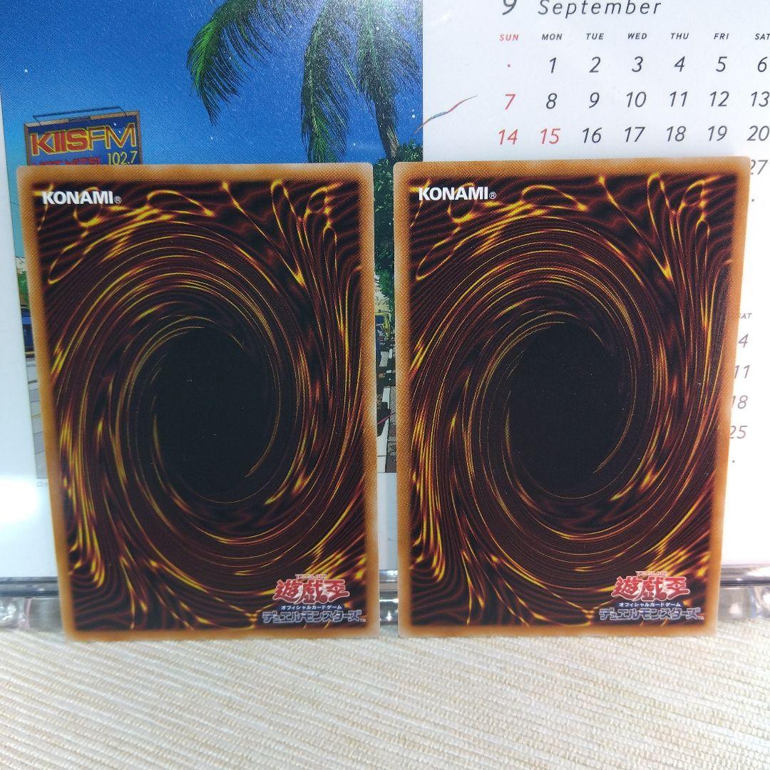 遊戯王 天羽々斬之巳剣 / シークレットレア【2枚】