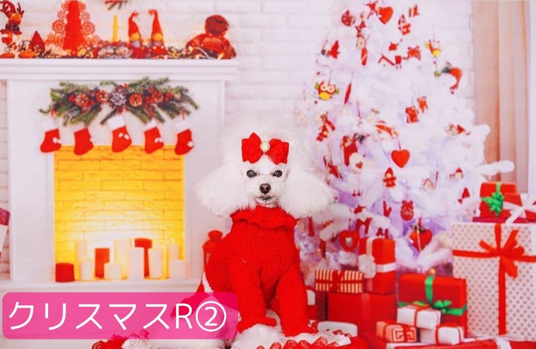 業務用トリミングチョーカー+背景布 クリスマスツリー ペットサロン 雪 犬