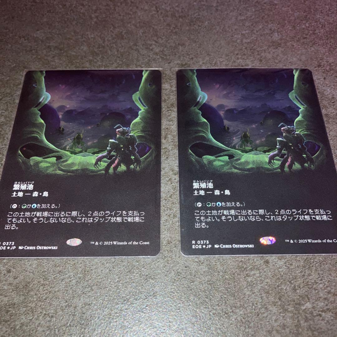 FCA-11 スランの医師、ヨーグモス FOIL フォイル ボーダーレス