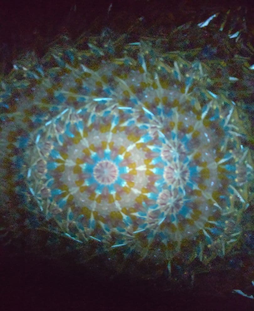 万華鏡作家さんの万華鏡【クリスタル】 本物