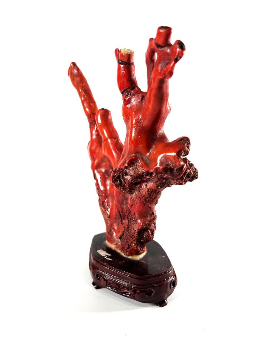 送料無料・蔵出し品】珊瑚 珊瑚礁 赤珊瑚 台座付 飾り 詳細不明 写真参照