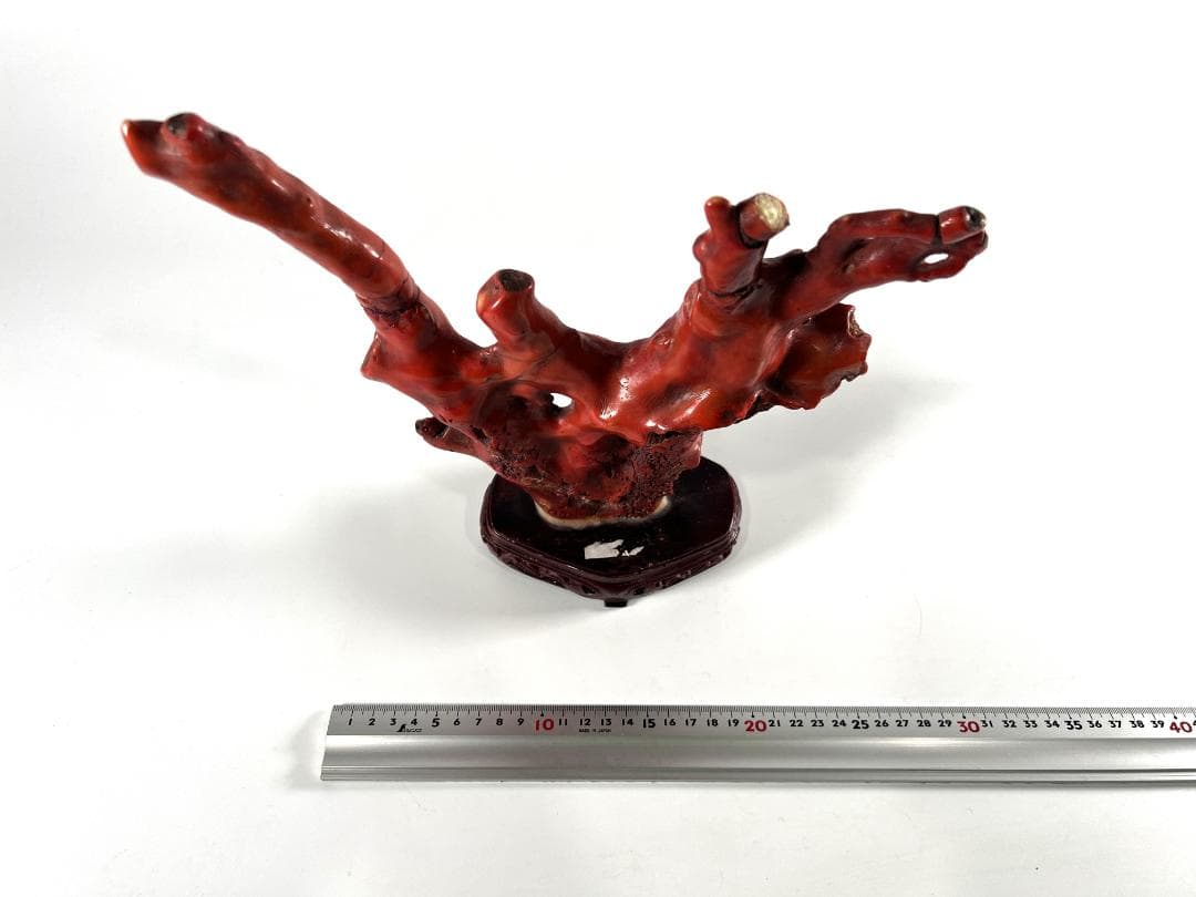 送料無料・蔵出し品】珊瑚 珊瑚礁 赤珊瑚 台座付 飾り 詳細不明 写真参照