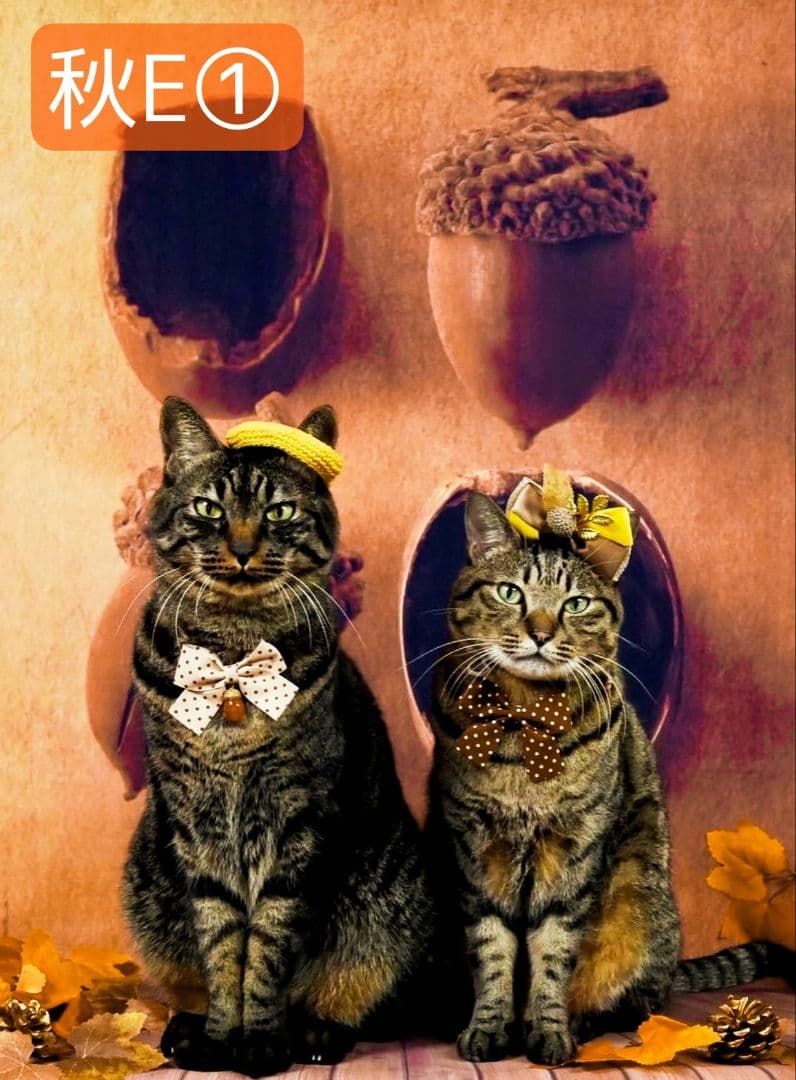 背景布【ハロウィン I】サンプルお月見さん、十五夜、9月