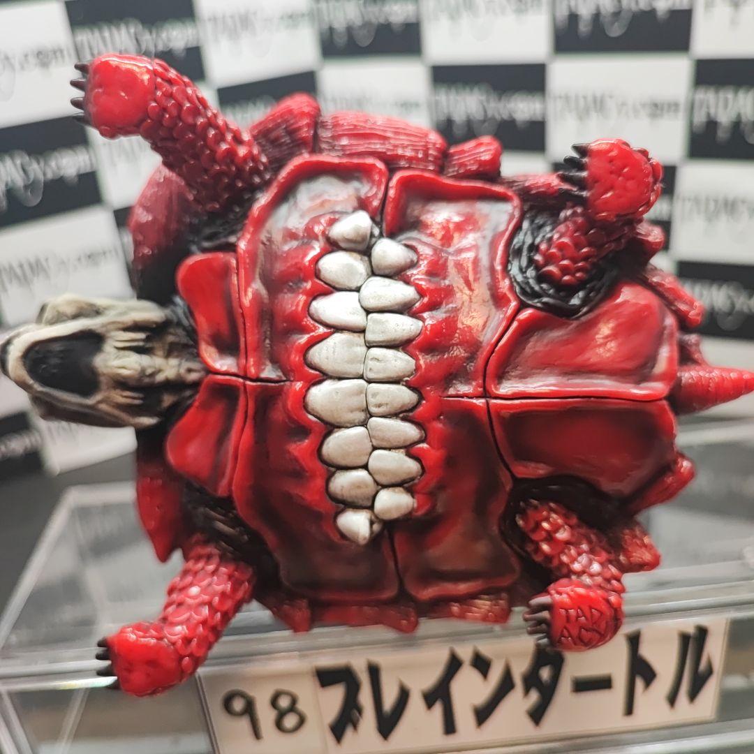 98ブレインタートル