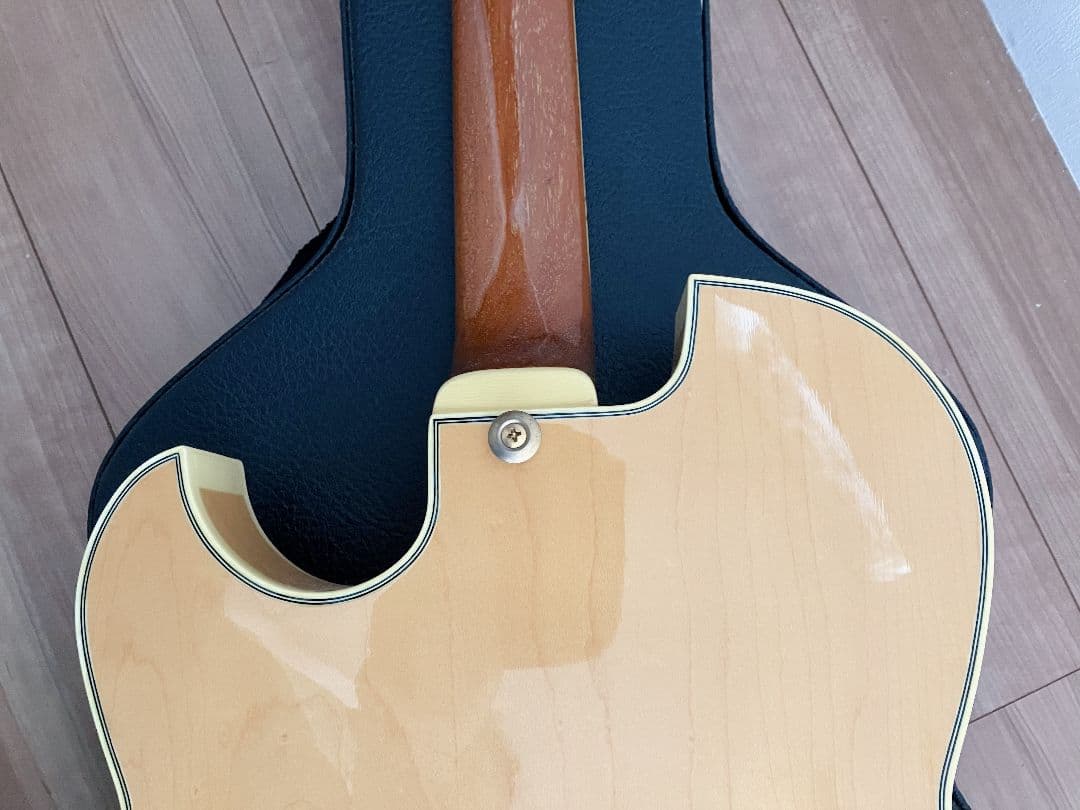 Ibanez PM120 Pat Metheny Signature フルアコ