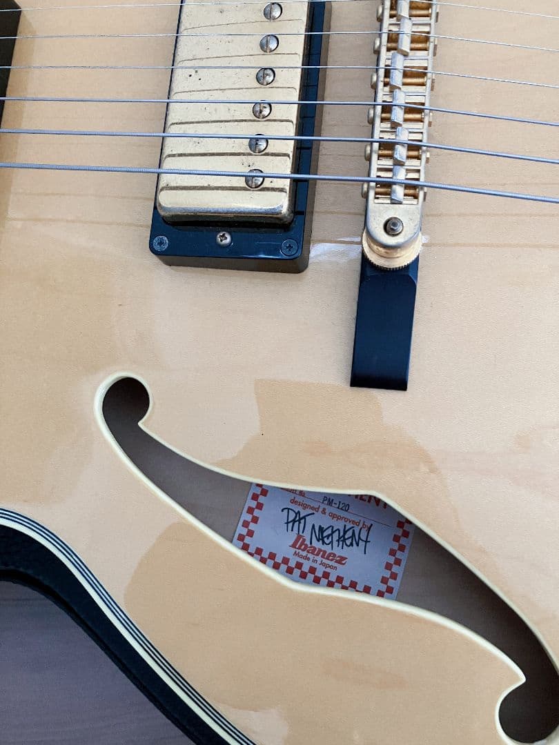 Ibanez PM120 Pat Metheny Signature フルアコ