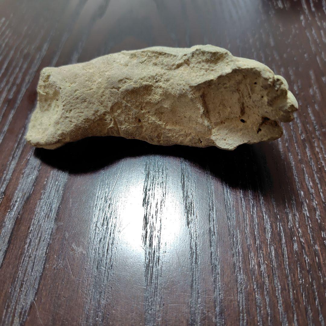 曲線的な形状の古瓦の化石 瓦のはなし① | 文化遺産