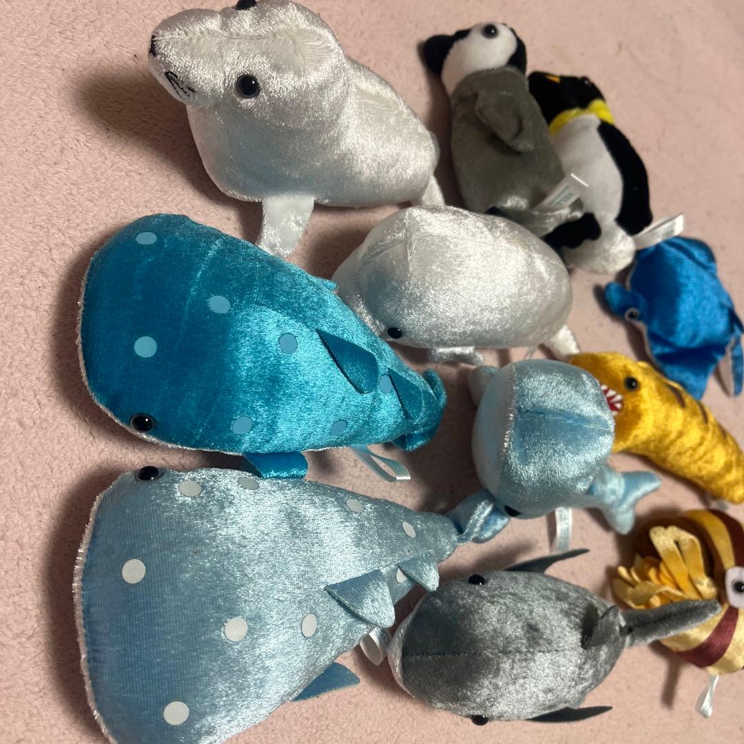 マリンパーク キラキラぬいぐるみ - メルカリ