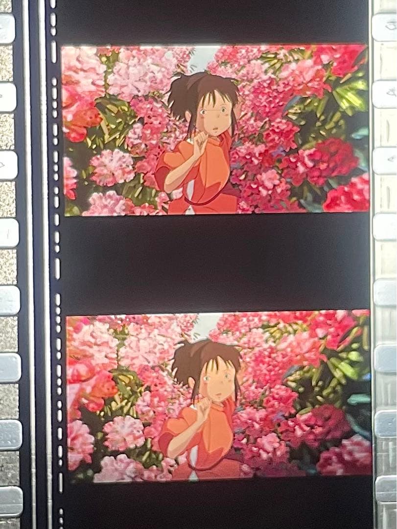 激レア 三鷹の森ジブリ美術館 フィルムブックマーカー しおり 千と千尋