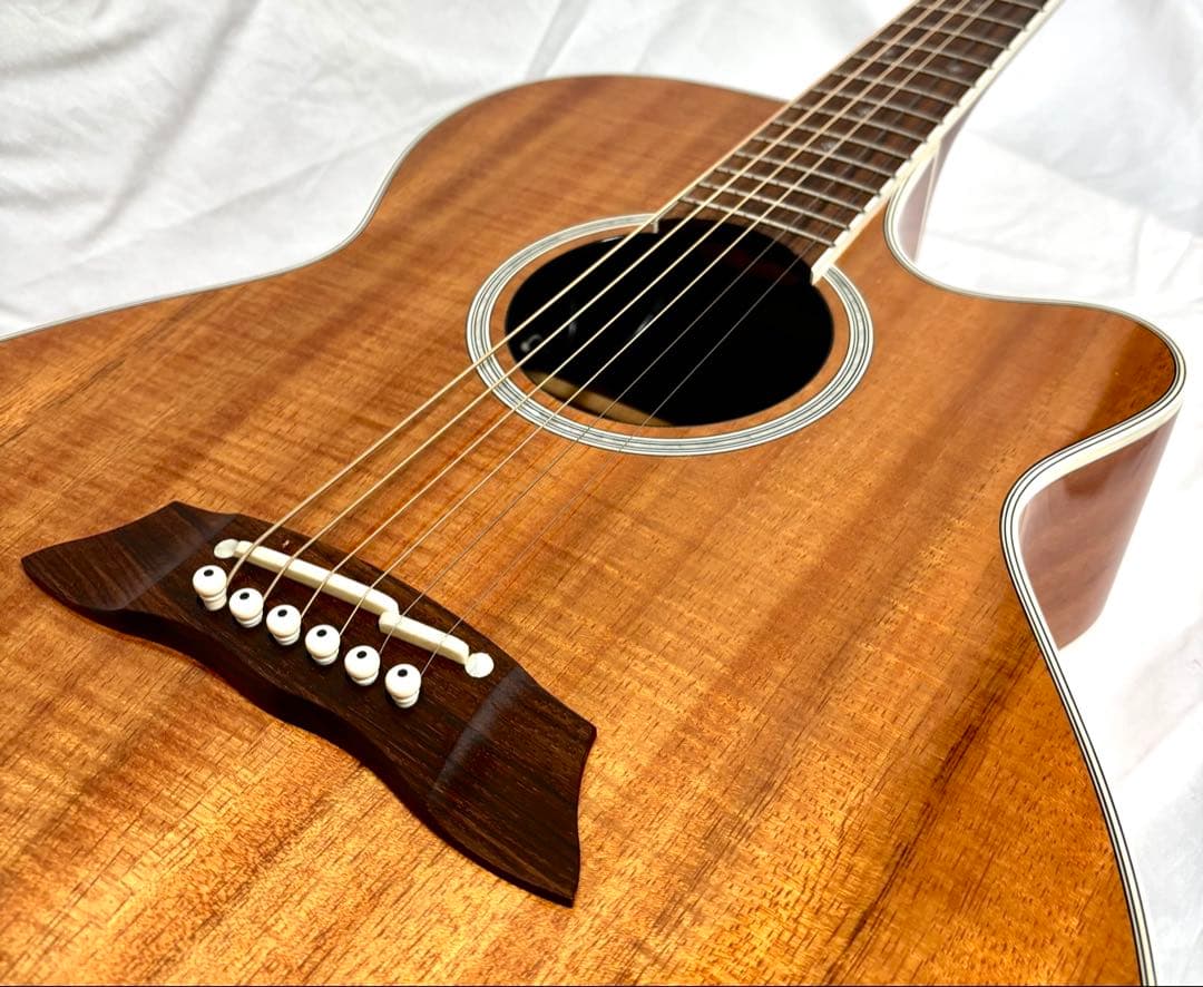 ハワイアンコア】Takamine エレアコ PTU108K N 日本製