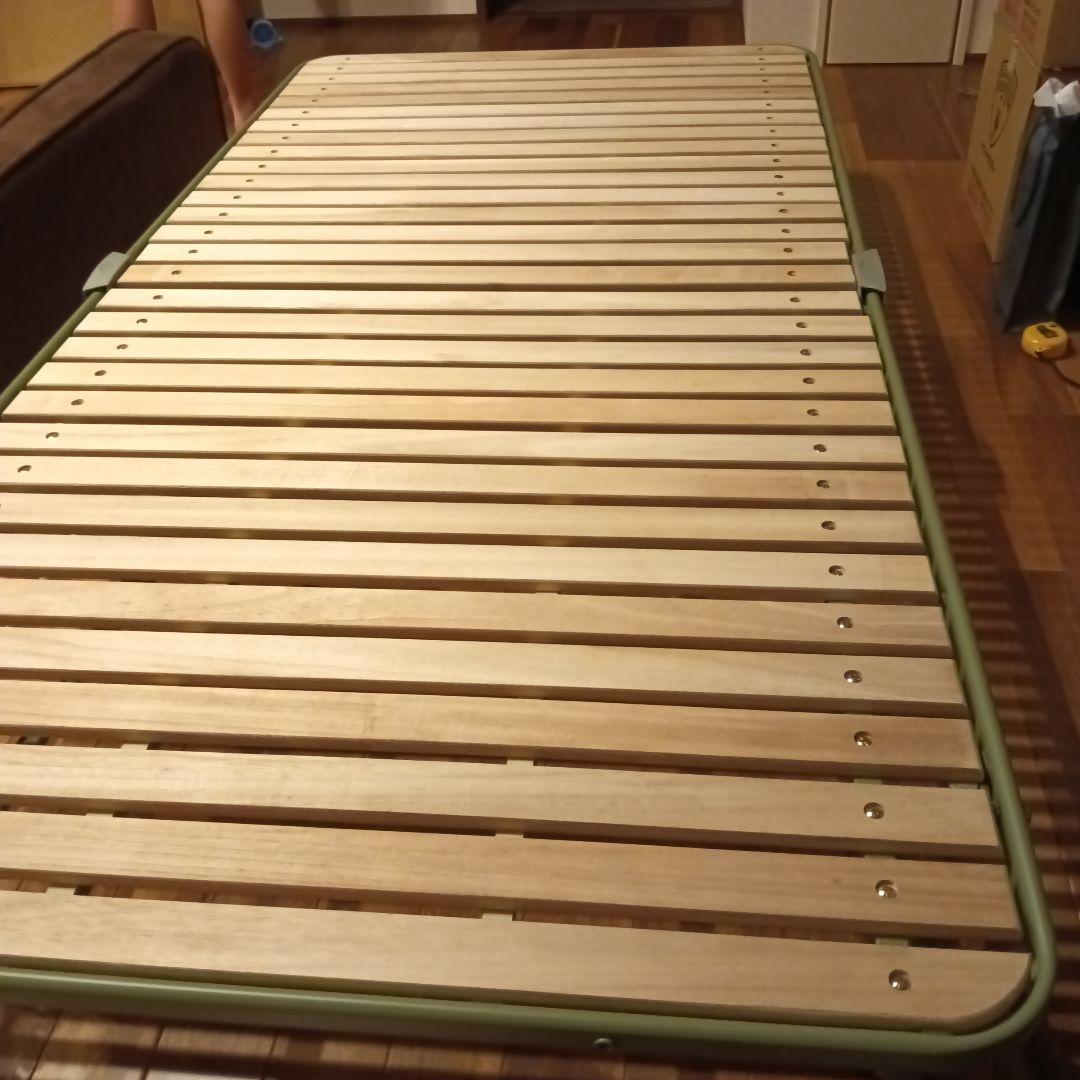 かたつむり Ezohelix gainesi｜ENSiS/かたつむりまみれ