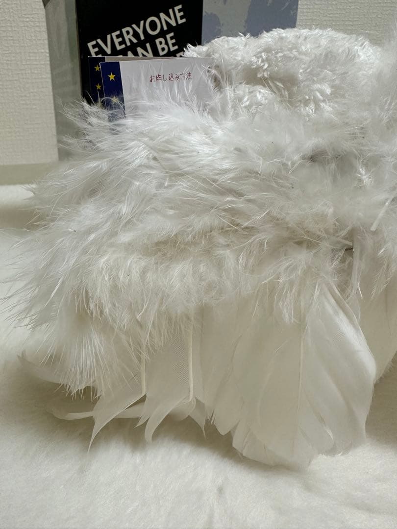 限定Hard Rock 天使の羽付きテディベア