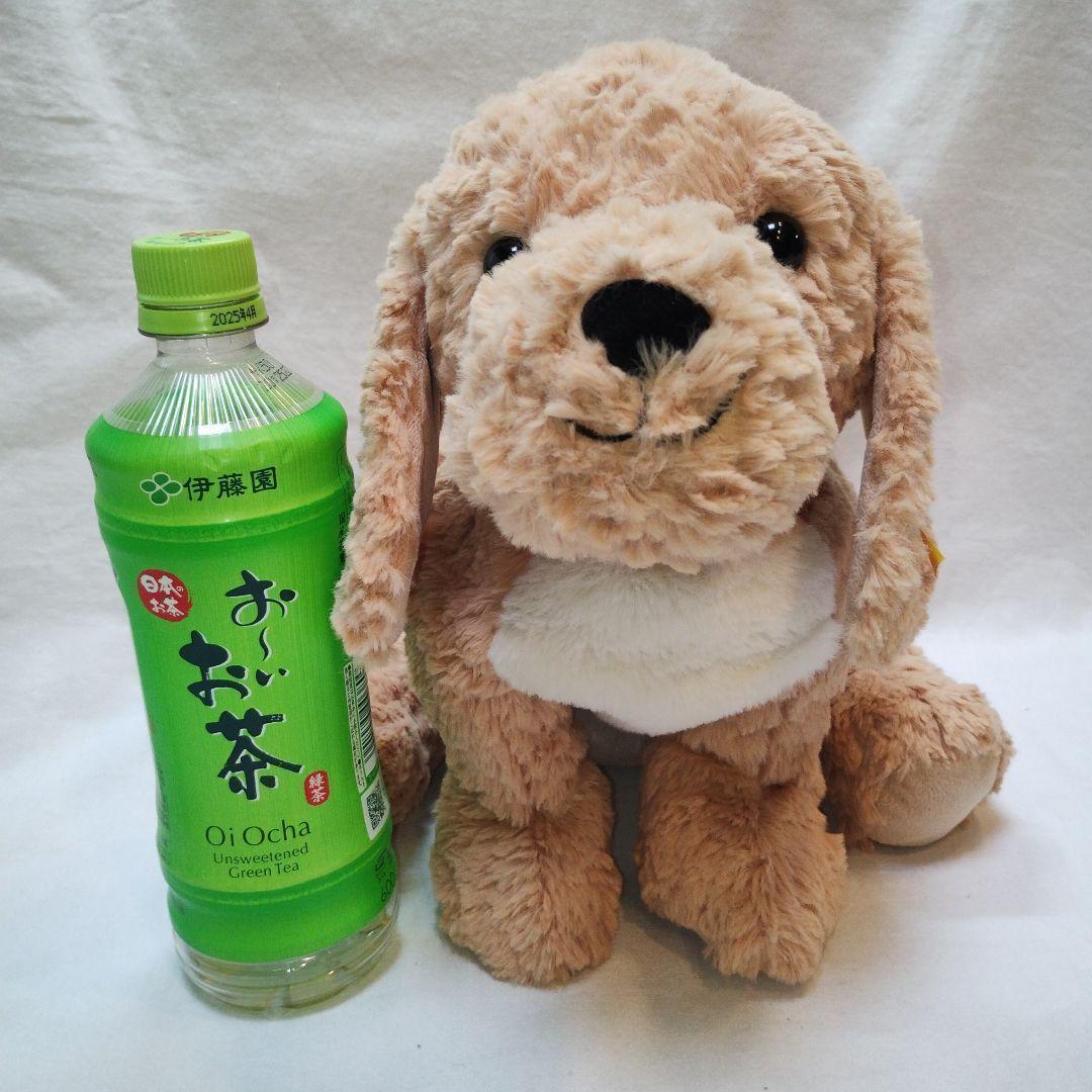 シュタイフ　ゴールデンドゥードル　ベルノ（Berno）　Lサイズ　Steiff