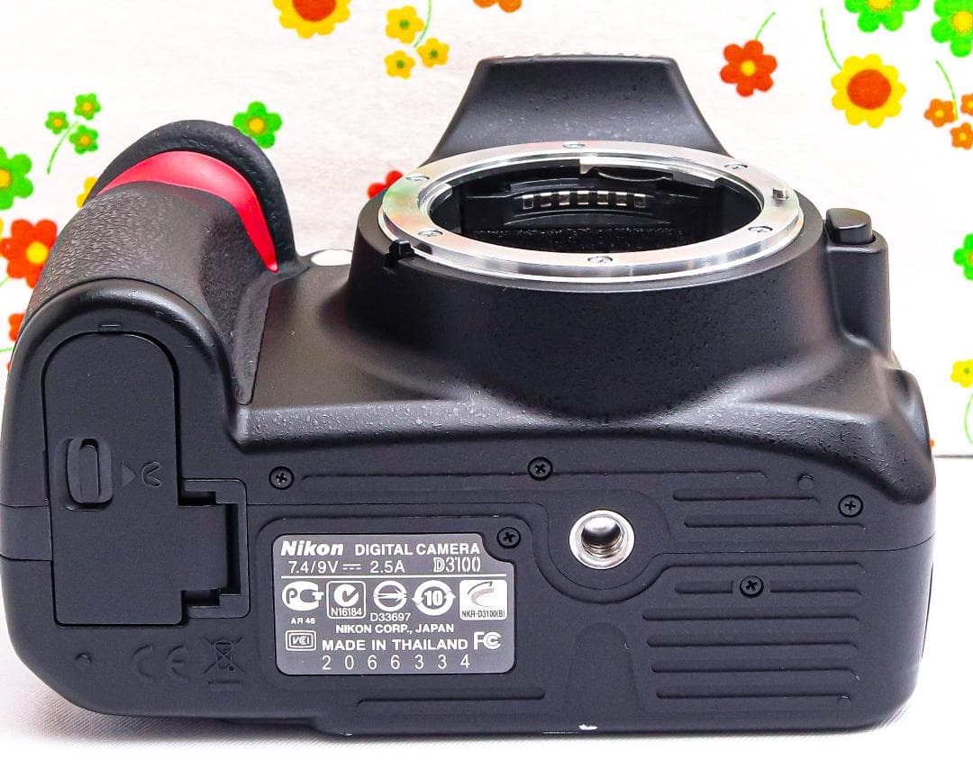 ニコン Nikon D3100 ☆スマホに転送☆軽くて簡単な一眼レフ☆初心者