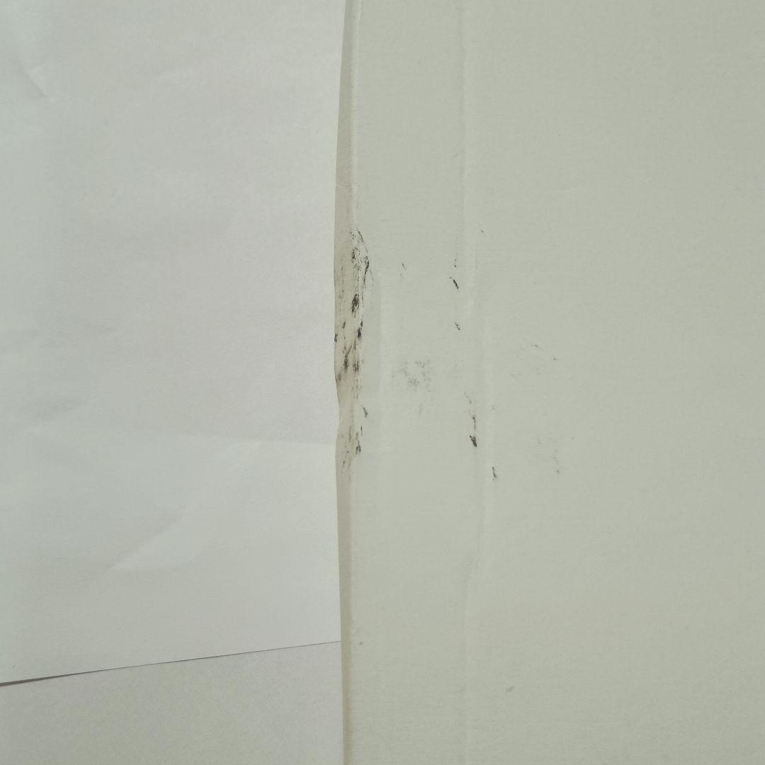 初音ミク デジモンアドベンチャー 3層アクリルパネル