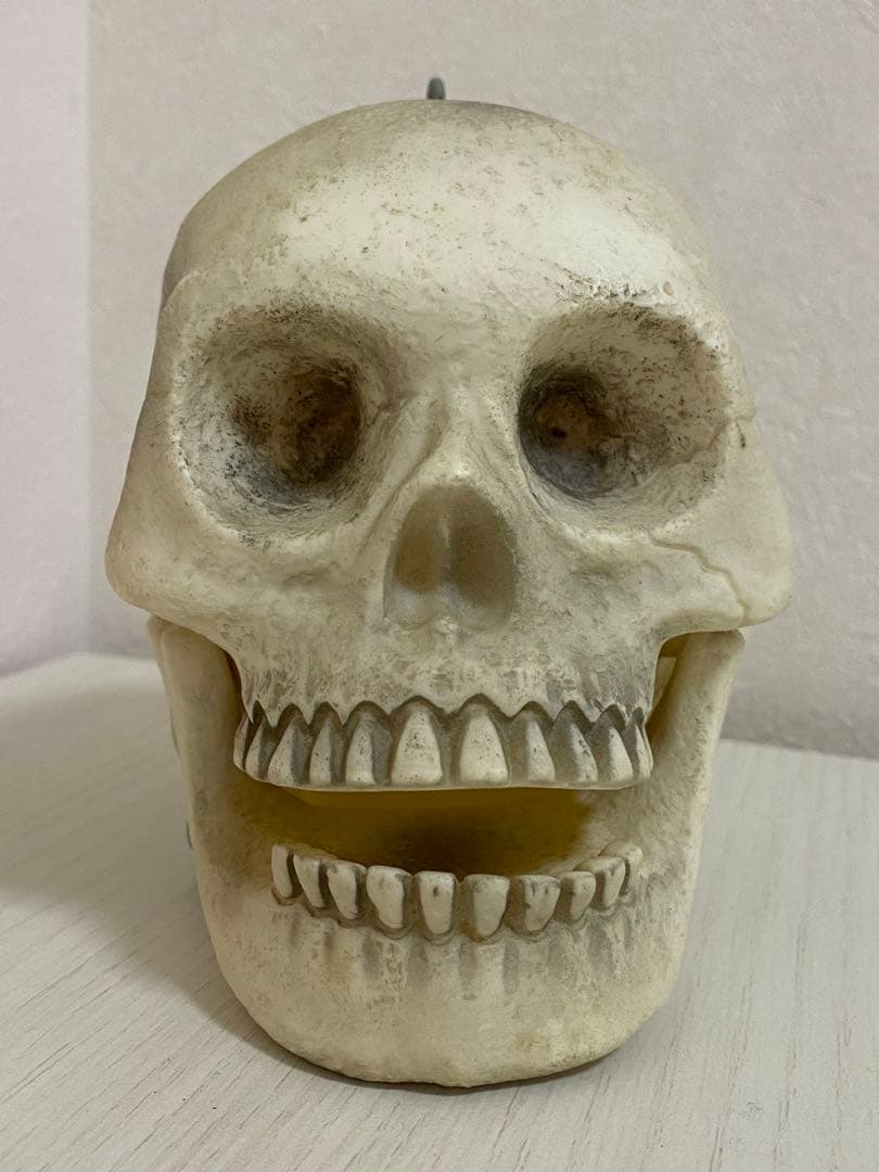 ビンテージ 骸骨 スカル 頭蓋骨 ドクロ 髑髏 ガイコツ 置物 アメグラ