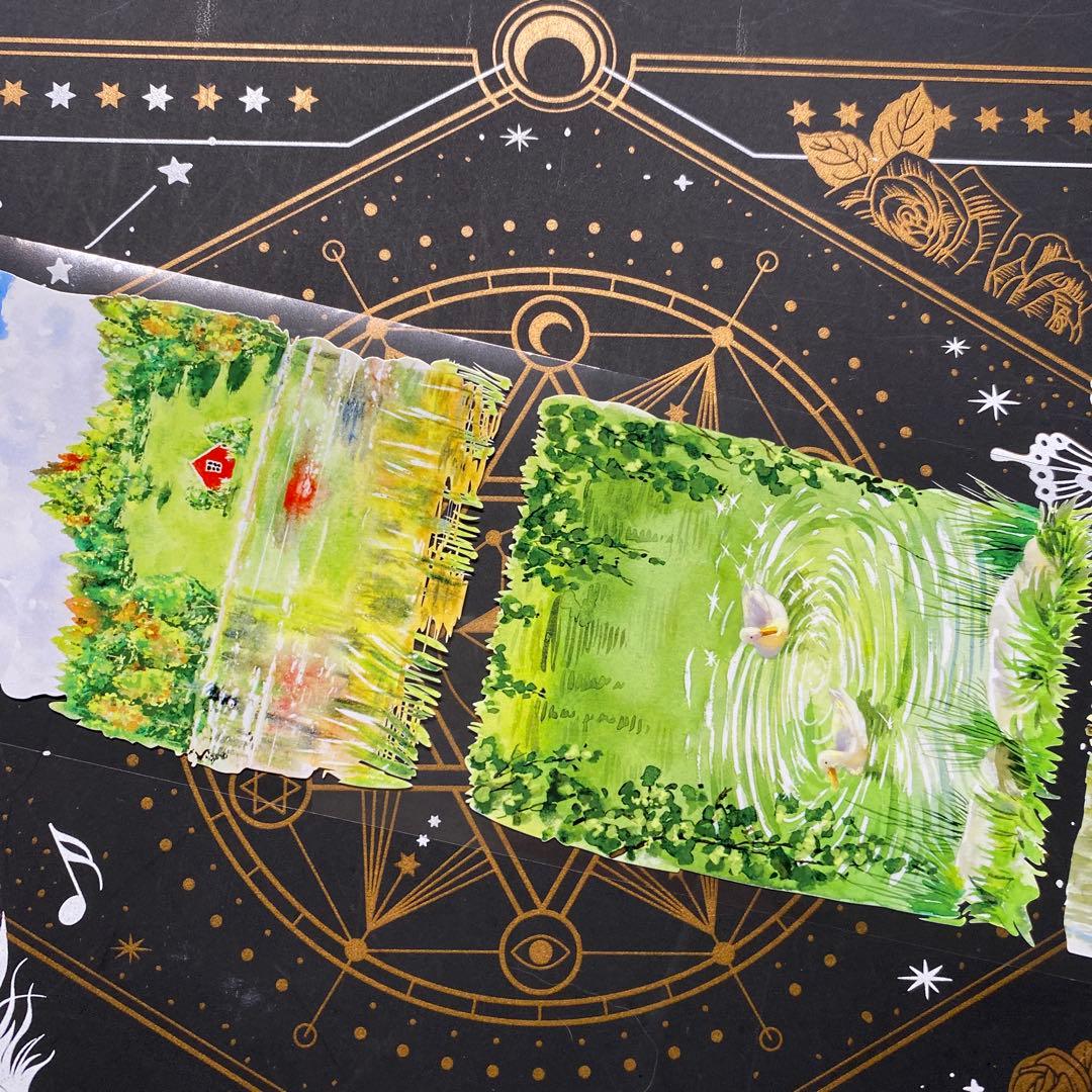 9309】海外 マステ 中古巻 PETマスキングテープ 自然 背景系 - メルカリ