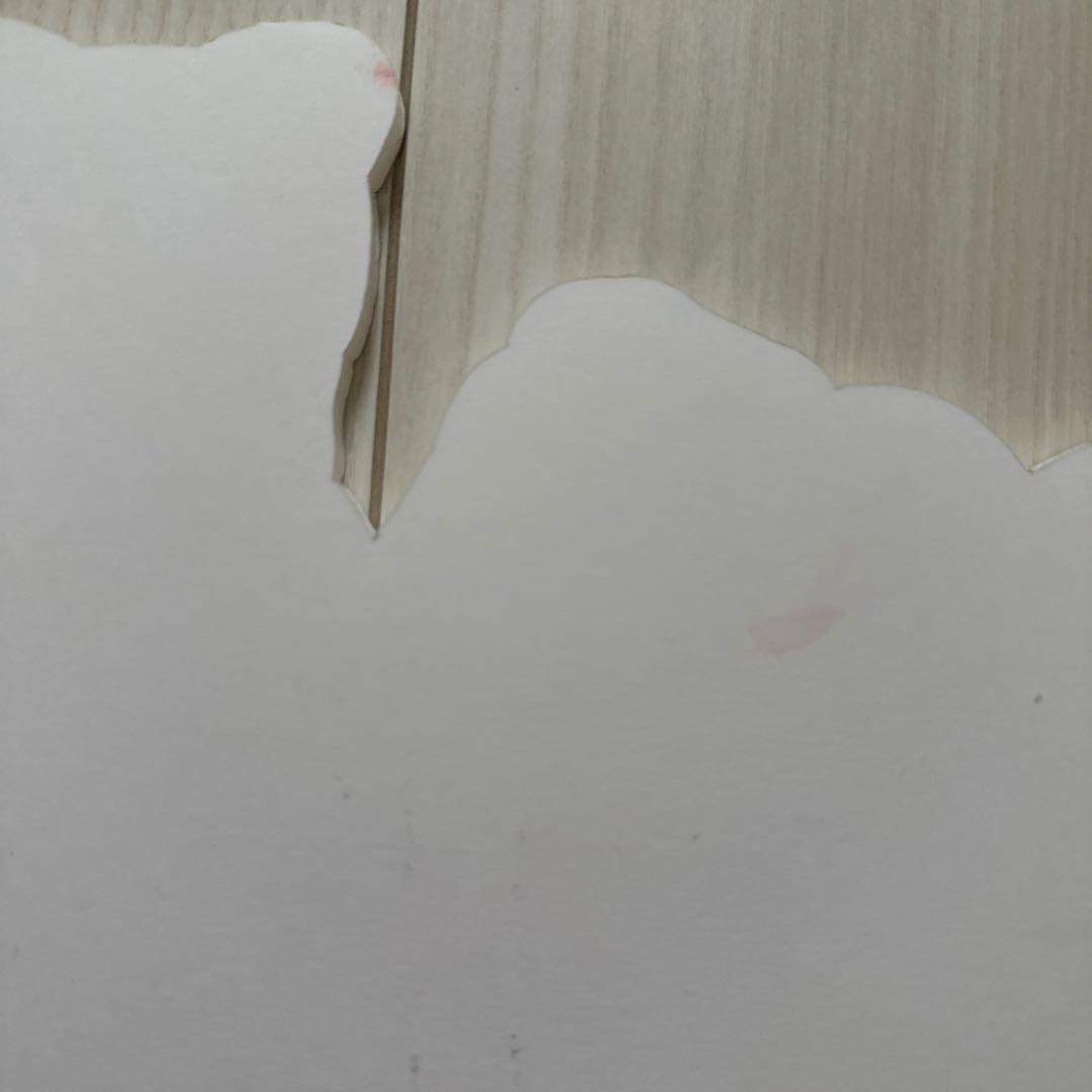 あいみょん 直筆サイン入り プロップス 10会場分限定