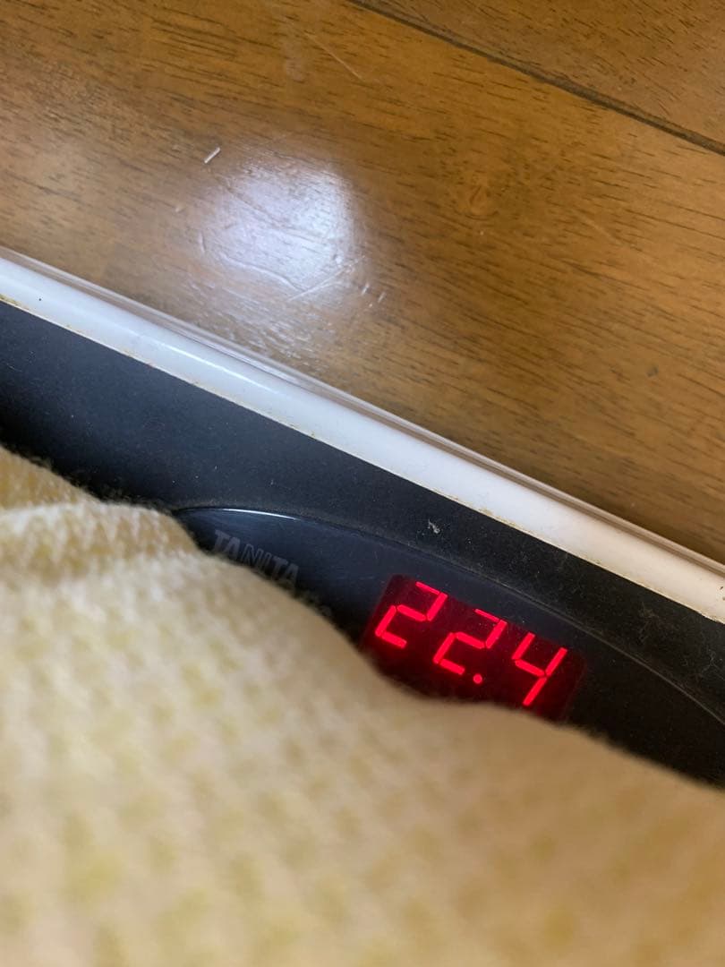 珪化石 木の化石 木化石 鑑賞置物 現状品 ジャンク品 - メルカリ