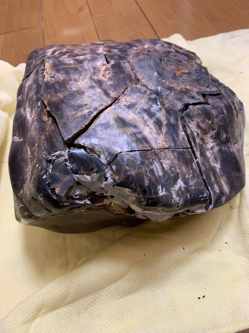 珪化石 木の化石 木化石 鑑賞置物 現状品 ジャンク品 - メルカリ