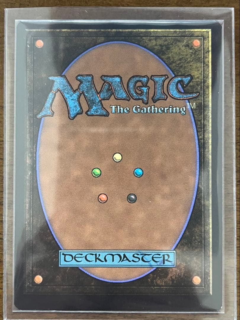 【MTG】終わりなき災厄、『シン』 拡張アート Foil