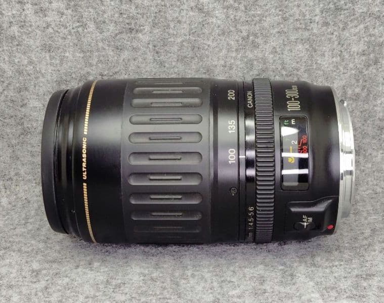 キヤノン　EF100-300mm F4.5-5.6 USM 望遠ズームレンズ