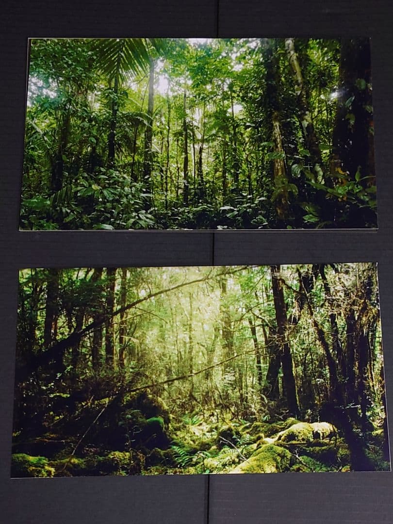 スターウォーズ　スカウト・トルーパー&スピーダーバイク　完成品