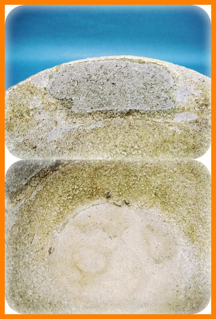 588『山茶碗』 /骨董品 古美術 古玩 アンティーク