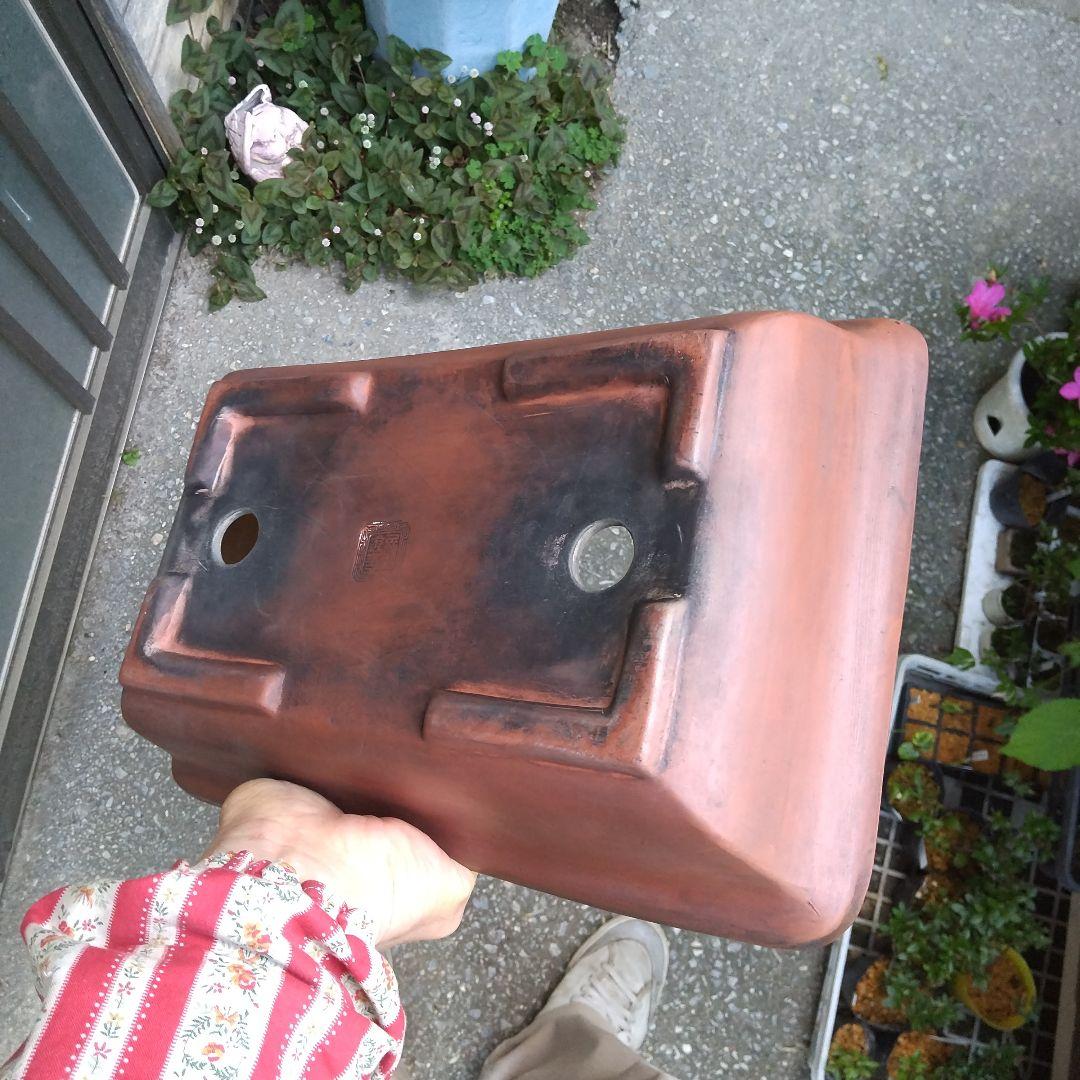 ミニ鉢、盆栽鉢、盆栽小鉢、鉢、植木鉢、山野草鉢、蘭鉢、盆栽